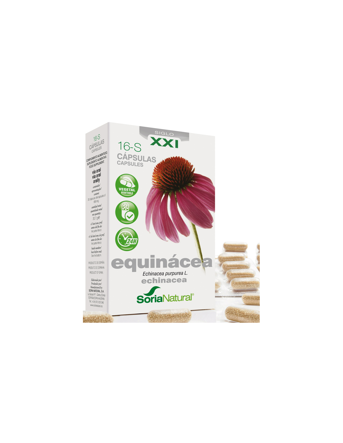 Cap.S 16 Echinacea Xxi 30Cap. de Soria Natural