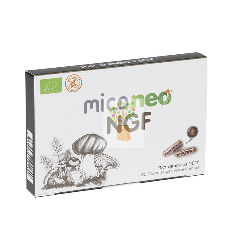 MICONEO NGF 60 CAPSULAS MICONEO